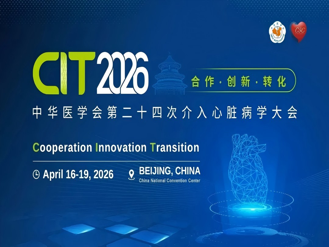 Vivolight illumina il CIT 2026 con i suoi partner internazionali.